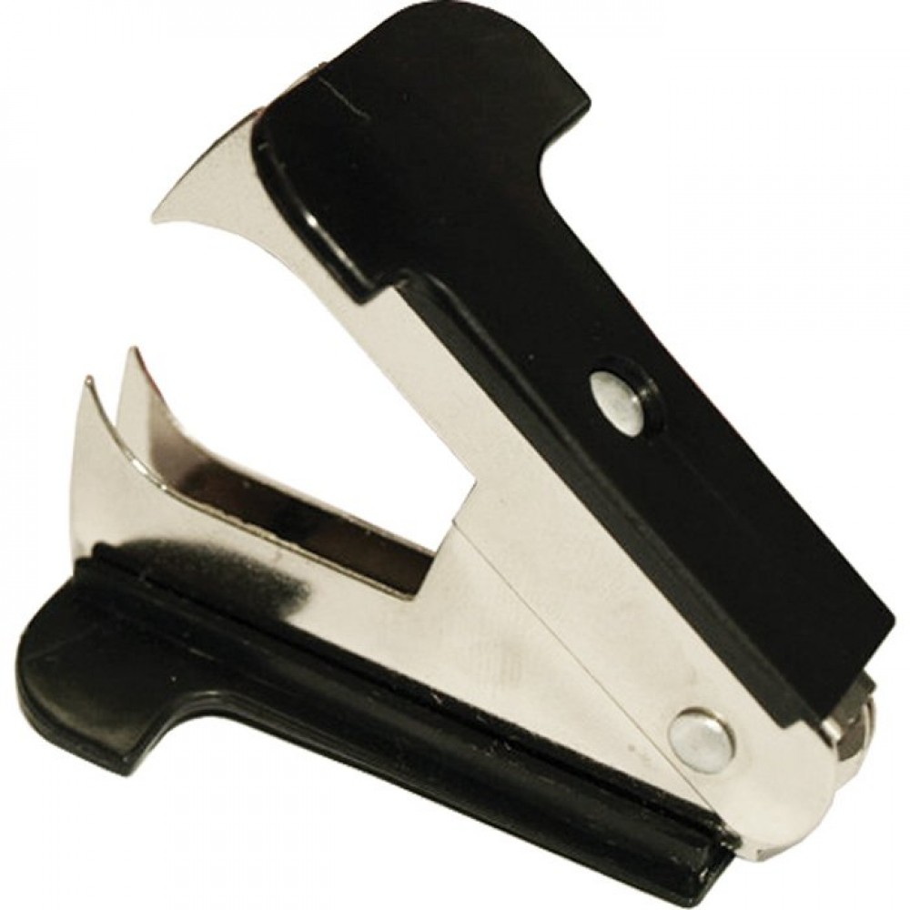 RASHEFTIVAC FLAMING/LIONER