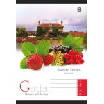 Sveska A5/96l 55gr. TP - dikto 