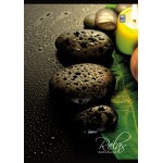 Sveska A4/80l - spiralni povez -  TP  sitan karo